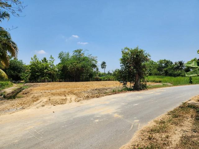 ที่ดิน 2590000 นครปฐม เมืองนครปฐม สามควายเผือก ที่ดิน 2590000 นครปฐม เมืองนครปฐม สามควายเผือก