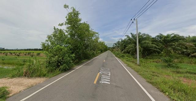 ที่ดิน 7500000 พัทลุง เมืองพัทลุง ชัยบุรี ที่ดิน 7500000 พัทลุง เมืองพัทลุง ชัยบุรี