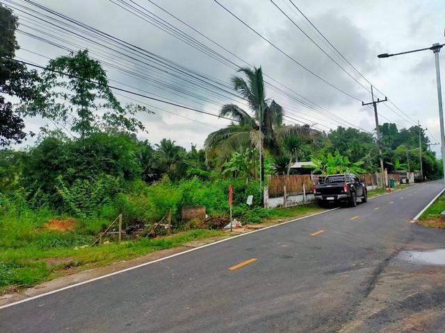 ที่ดิน 855000 ศรีสะเกษ ราษีไศล เมืองคง ที่ดิน 855000 ศรีสะเกษ ราษีไศล เมืองคง