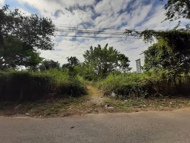 ที่ดิน 23000 เชียงใหม่ หางดง หนองควาย ที่ดิน 23000 เชียงใหม่ หางดง หนองควาย
