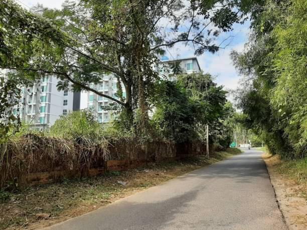 ที่ดิน 23000 เชียงใหม่ หางดง หนองควาย ที่ดิน 23000 เชียงใหม่ หางดง หนองควาย