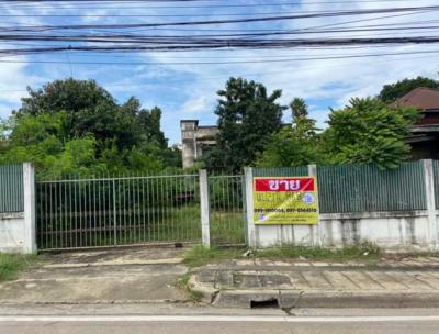 ที่ดิน 1500000 พระนครศรีอยุธยา บางปะหัน ขวัญเมือง
