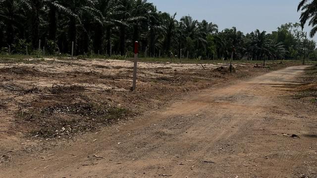 ที่ดิน 6800 ประจวบคีรีขันธ์ บางสะพานน้อย ทรายทอง ที่ดิน 6800 ประจวบคีรีขันธ์ บางสะพานน้อย ทรายทอง