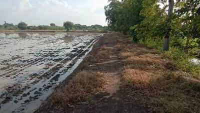 ที่ดิน 800000 ปทุมธานี ลาดหลุมแก้ว บ่อเงิน