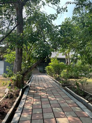 บ้านเดี่ยว 8900000 ลพบุรี เมืองลพบุรี กกโก บ้านเดี่ยว 8900000 ลพบุรี เมืองลพบุรี กกโก
