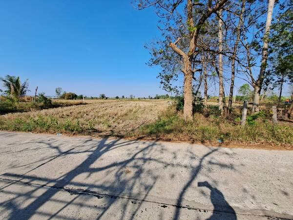 ที่ดิน 1100000 ขอนแก่น ที่ดิน 1100000 ขอนแก่น