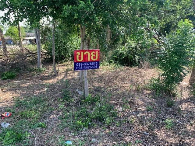 ที่ดิน 1400000 นครปฐม ดอนตูม ห้วยพระ ที่ดิน 1400000 นครปฐม ดอนตูม ห้วยพระ