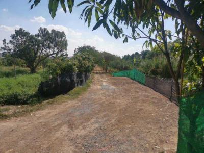 ที่ดิน 3000000 นนทบุรี บางบัวทอง บางคูรัด
