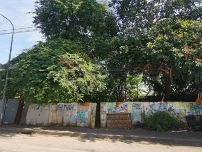 ที่ดิน 25000000 นนทบุรี เมืองนนทบุรี สวนใหญ่