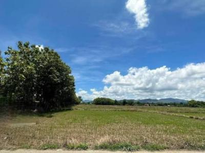 ที่ดิน 2500000 เชียงใหม่ สันกำแพง แช่ช้าง