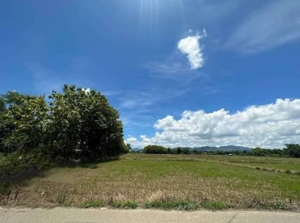 ที่ดิน 2500000 เชียงใหม่ สันกำแพง แช่ช้าง ที่ดิน 2500000 เชียงใหม่ สันกำแพง แช่ช้าง