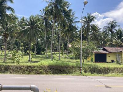 ที่ดิน 8000000 ชุมพร ปะทิว สะพลี