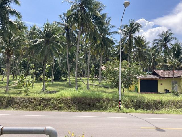 ที่ดิน 8000000 ชุมพร ปะทิว สะพลี ที่ดิน 8000000 ชุมพร ปะทิว สะพลี