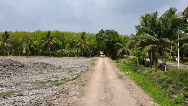 ที่ดิน 650000 ปทุมธานี หนองเสือ บึงบา ที่ดิน 650000 ปทุมธานี หนองเสือ บึงบา