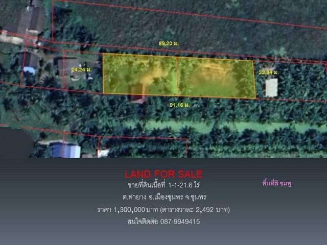 ที่ดิน 1300000 ชุมพร เมืองชุมพร ท่ายาง ที่ดิน 1300000 ชุมพร เมืองชุมพร ท่ายาง