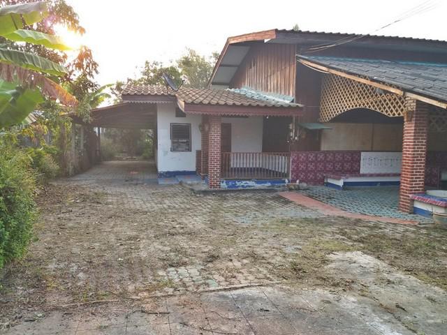 บ้านเดี่ยว 575000 เชียงใหม่ พร้าว สันทราย บ้านเดี่ยว 575000 เชียงใหม่ พร้าว สันทราย