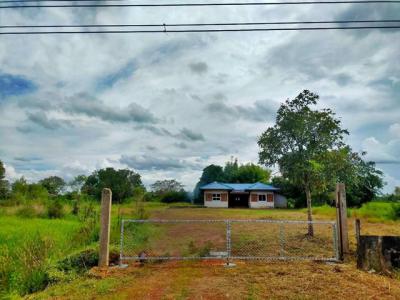 บ้านเดี่ยว 1366500 อุบลราชธานี พิบูลมังสาหาร นาโพธิ์