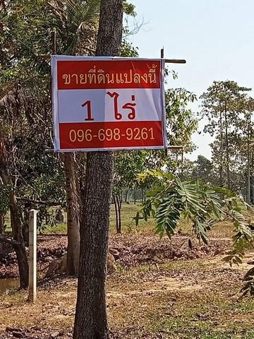 ที่ดิน 1300000 ศรีสะเกษ ขุขันธ์ หนองฉลอง ที่ดิน 1300000 ศรีสะเกษ ขุขันธ์ หนองฉลอง