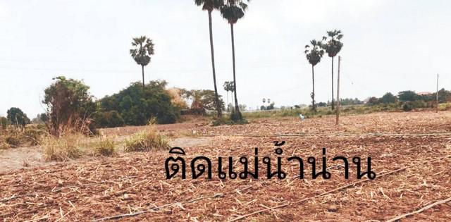 ที่ดิน 300000 นครสวรรค์ ชุมแสง โคกหม้อ ที่ดิน 300000 นครสวรรค์ ชุมแสง โคกหม้อ