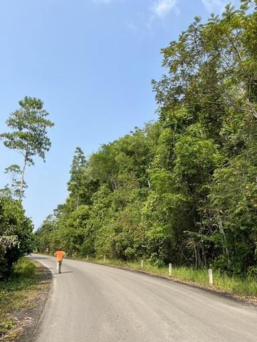 ที่ดิน 2800000 ตรัง ห้วยยอด ท่างิ้ว ที่ดิน 2800000 ตรัง ห้วยยอด ท่างิ้ว
