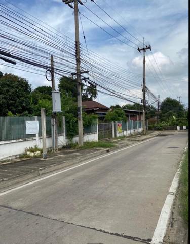 ที่ดิน 1500000 พระนครศรีอยุธยา บางปะหัน ขวัญเมือง ที่ดิน 1500000 พระนครศรีอยุธยา บางปะหัน ขวัญเมือง