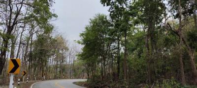 ที่ดิน 101211250 น่าน เมืองน่าน ไชยสถาน