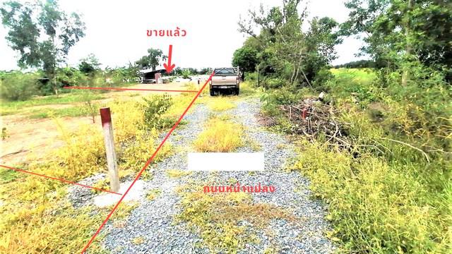 ที่ดิน 750000 ปทุมธานี เมืองปทุมธานี สวนพริกไทย ที่ดิน 750000 ปทุมธานี เมืองปทุมธานี สวนพริกไทย