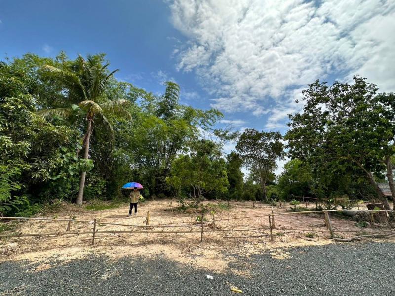 ที่ดิน 670000 เชียงใหม่ สารภี หนองแฝก ที่ดิน 670000 เชียงใหม่ สารภี หนองแฝก