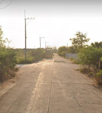 ที่ดิน 5600000 นครปฐม สามพราน สามพราน ที่ดิน 5600000 นครปฐม สามพราน สามพราน