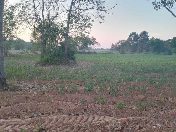 ที่ดิน 7000000 สระแก้ว เมืองสระแก้ว สระแก้ว ที่ดิน 7000000 สระแก้ว เมืองสระแก้ว สระแก้ว
