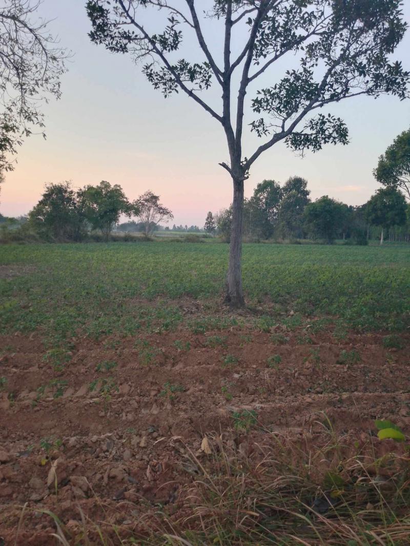 ที่ดิน 7000000 สระแก้ว เมืองสระแก้ว สระแก้ว ที่ดิน 7000000 สระแก้ว เมืองสระแก้ว สระแก้ว