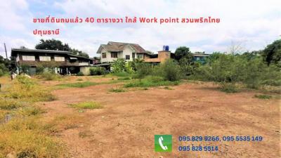 ที่ดิน 750000 ปทุมธานี เมืองปทุมธานี สวนพริกไทย