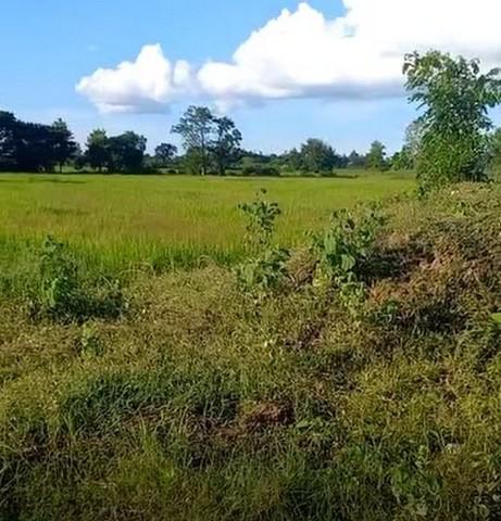 ที่ดิน 6200000 ขอนแก่น เมืองขอนแก่น สำราญ ที่ดิน 6200000 ขอนแก่น เมืองขอนแก่น สำราญ