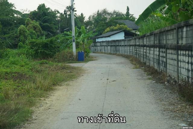 ที่ดิน 7800000 นครปฐม สามพราน ท่าข้าม ที่ดิน 7800000 นครปฐม สามพราน ท่าข้าม