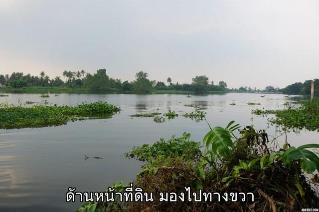 ที่ดิน 7800000 นครปฐม สามพราน ท่าข้าม ที่ดิน 7800000 นครปฐม สามพราน ท่าข้าม