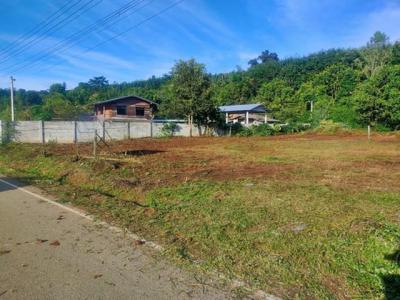 ที่ดิน 703000 เชียงราย เวียงป่าเป้า เวียงกาหลง