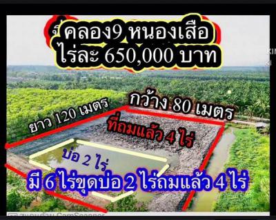 ที่ดิน 650000 ปทุมธานี หนองเสือ บึงบา