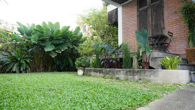 บ้านเดี่ยว 35000 กรุงเทพมหานคร เขตบางนา บางนา บ้านเดี่ยว 35000 กรุงเทพมหานคร เขตบางนา บางนา