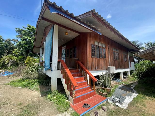 บ้านเดี่ยว 1210000 เชียงราย พาน ดอยงาม บ้านเดี่ยว 1210000 เชียงราย พาน ดอยงาม