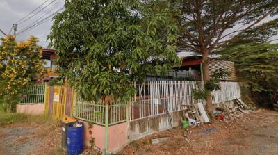 โรงงาน 1960000 นครปฐม บางเลน ดอนตูม