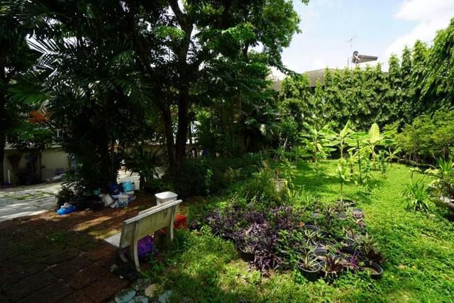 บ้านเดี่ยว 55000000 กรุงเทพมหานคร เขตวัฒนา คลองเตยเหนือ บ้านเดี่ยว 55000000 กรุงเทพมหานคร เขตวัฒนา คลองเตยเหนือ
