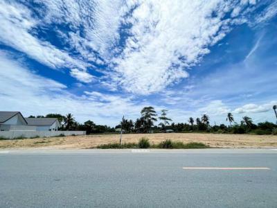 ที่ดิน 22994250 ชลบุรี บางละมุง ตะเคียนเตี้ย
