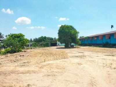 ที่ดิน 1700000 ชลบุรี ศรีราชา หนองขาม