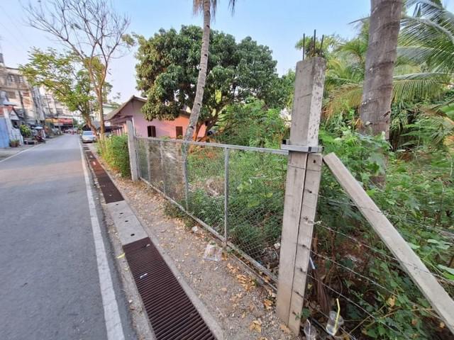 ที่ดิน 25000 เชียงใหม่ สารภี ยางเนิ้ง ที่ดิน 25000 เชียงใหม่ สารภี ยางเนิ้ง