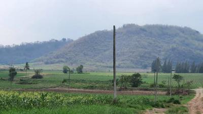 ที่ดิน 374000000 ชลบุรี บ้านบึง หนองอิรุณ
