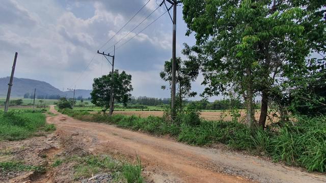 ที่ดิน 374000000 ชลบุรี บ้านบึง หนองอิรุณ ที่ดิน 374000000 ชลบุรี บ้านบึง หนองอิรุณ