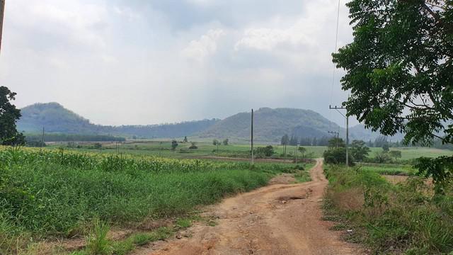 ที่ดิน 374000000 ชลบุรี บ้านบึง หนองอิรุณ ที่ดิน 374000000 ชลบุรี บ้านบึง หนองอิรุณ