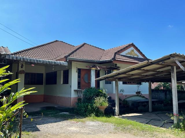 บ้านเดี่ยว 1235000 ลำพูน แม่ทา ทาทุ่งหลวง บ้านเดี่ยว 1235000 ลำพูน แม่ทา ทาทุ่งหลวง