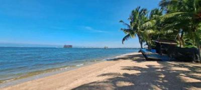 ที่ดิน 802125000 ชลบุรี บางละมุง นาเกลือ