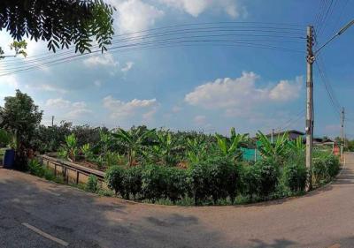 ที่ดิน 800000 สมุทรสงคราม อัมพวา บางนางลี่